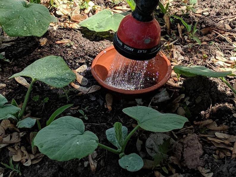 Olla Watering System for Garden Beds - 2 gallon - Armstrong Garden